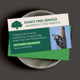 Visita Tarjeta de presentación de fotos del servicio de e