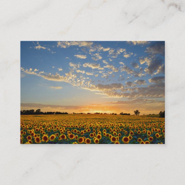 Visita Tarjeta de presentación de girasoles 2 (Anverso)