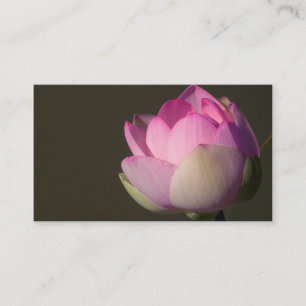 Visita Tarjeta de presentación de Lotus rosa