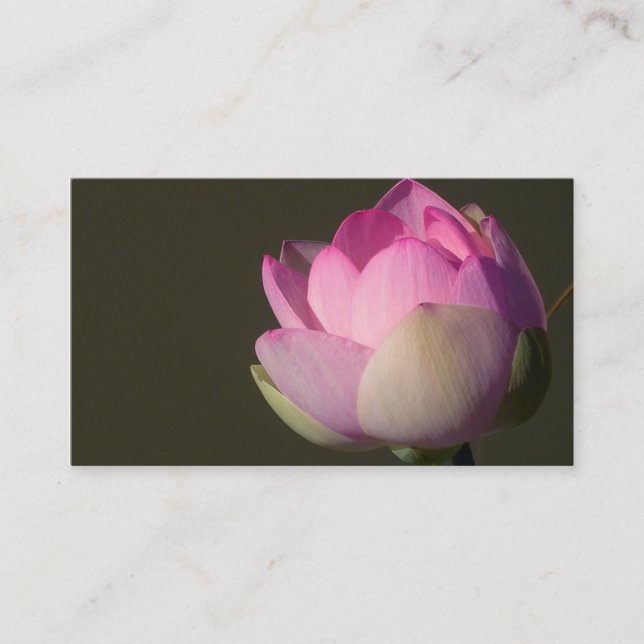 Visita Tarjeta de presentación de Lotus rosa (Anverso)