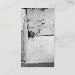 Visita Tarjeta de presentación de maleza en pasos concret