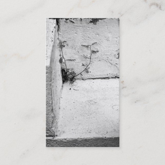 Visita Tarjeta de presentación de maleza en pasos concret (Anverso)