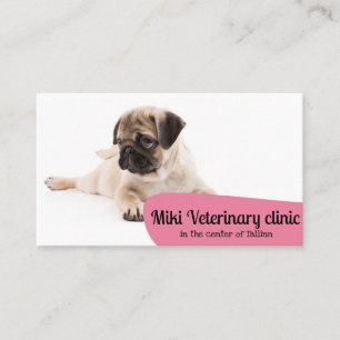 Visita Tarjeta de presentación de Mascotas de la clínica 