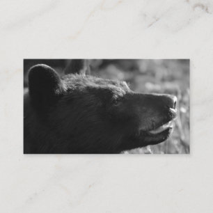 Visita Tarjeta de presentación de Oso (añada tu propio te
