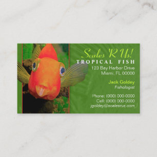 Visita Tarjeta de presentación de peces tropicales