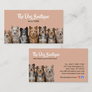Visita Tarjeta de presentación de peluquería de mascotas