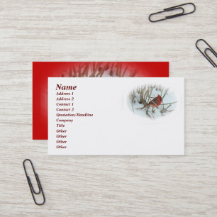 Visita Tarjeta de presentación del Cardenal Oriental Son