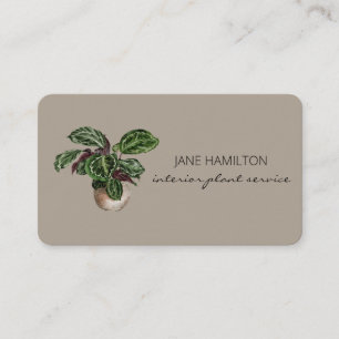 Visita Tarjeta de presentación del servicio de la planta 