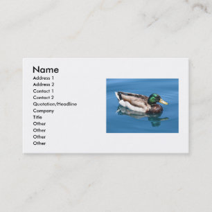 Visita Tarjeta de presentación Duck