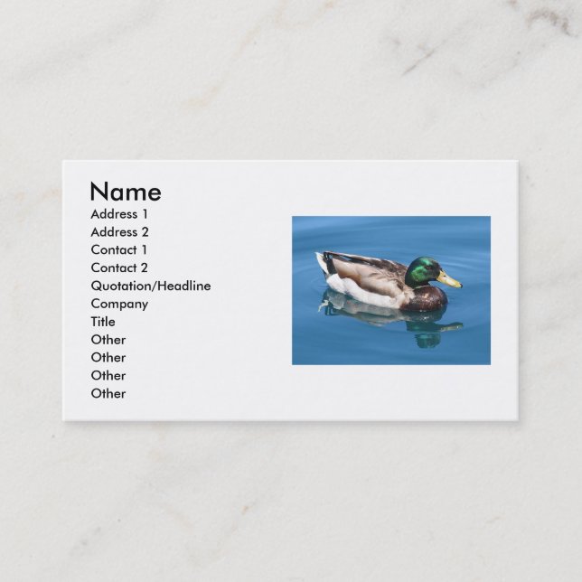 Visita Tarjeta de presentación Duck (Anverso)