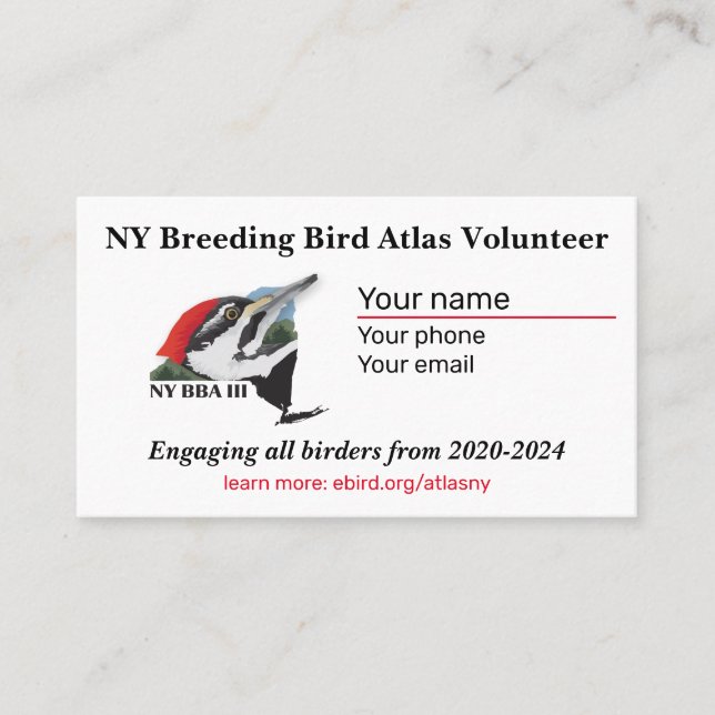 Visita Tarjeta de presentación estándar de 3,5" x 2,0" (Anverso)