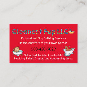 Visita Tarjeta de presentación LLC más limpia