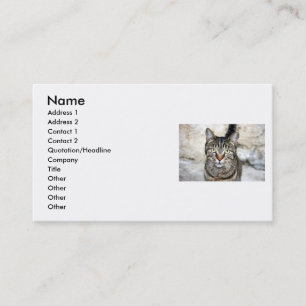 Visita Tarjeta de presentación para gato egipcio