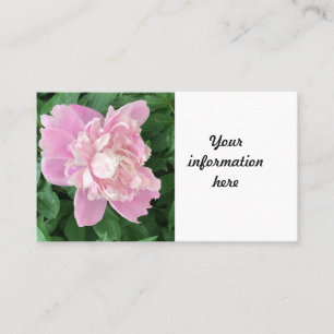 Visita Tarjeta de presentación Peony