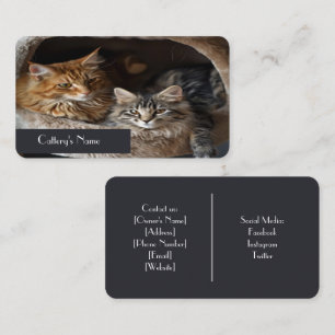 Visita Tarjeta de presentación personalizada de Cattery