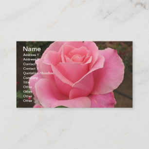 Visita Tarjeta de presentación Rosa rosa