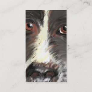 Visita Tarjeta de visita, rescate del border collie
