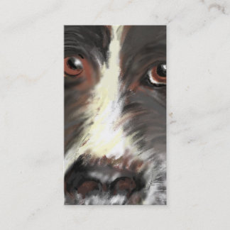 Visita Tarjeta de visita, rescate del border collie