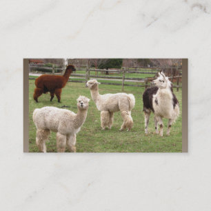 Visita Tarjeta de visitas del ~ de la mezcla de la alpaca