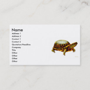 Visita Tarjeta del este del perfil de la tortuga de caja