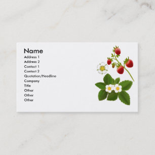Visita Tarjeta del perfil de las fresas salvajes