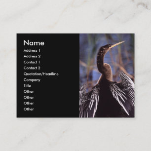 Visita tarjeta del perfil o de visita, anhinga