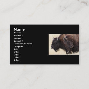 Visita tarjeta del perfil o de visita, bisonte