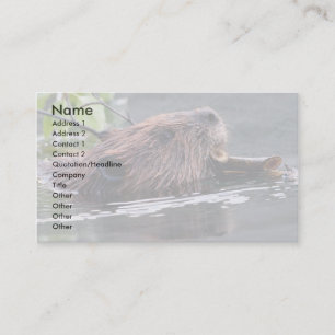 Visita tarjeta del perfil o de visita, castor