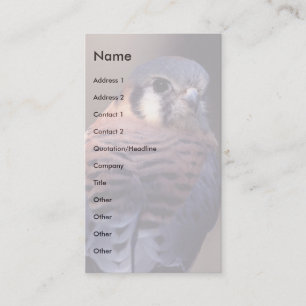 Visita tarjeta del perfil o de visita, cernícalo