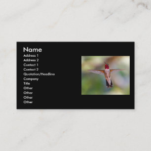 Visita tarjeta del perfil o de visita, colibrí