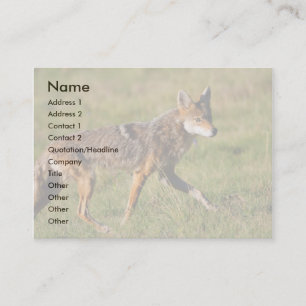 Visita tarjeta del perfil o de visita, coyote