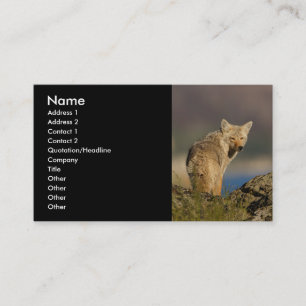 Visita tarjeta del perfil o de visita, coyote