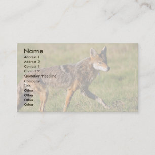 Visita tarjeta del perfil o de visita, coyote
