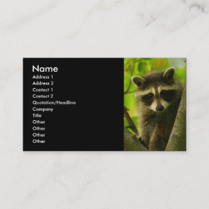 Visita tarjeta del perfil o de visita, mapache