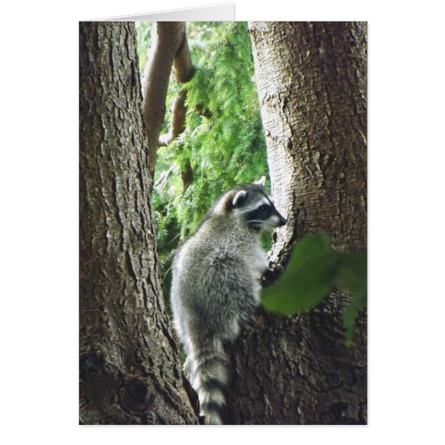 Visitante inesperado (Frente)