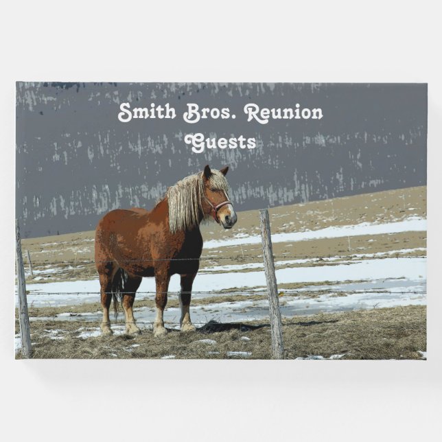 Visitas Borrador belga de caballos en el libro de invitado (Anverso)