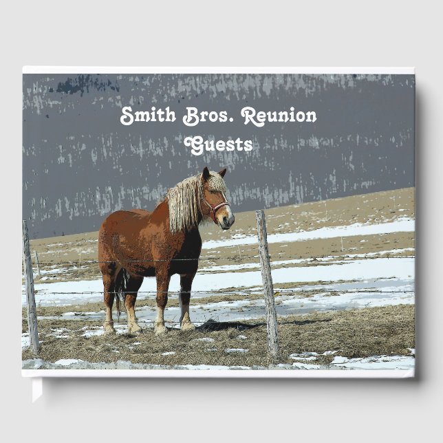 Visitas Borrador belga de caballos en el libro de invitado (Anverso)