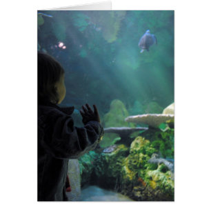 Visor del depósito de tortuga