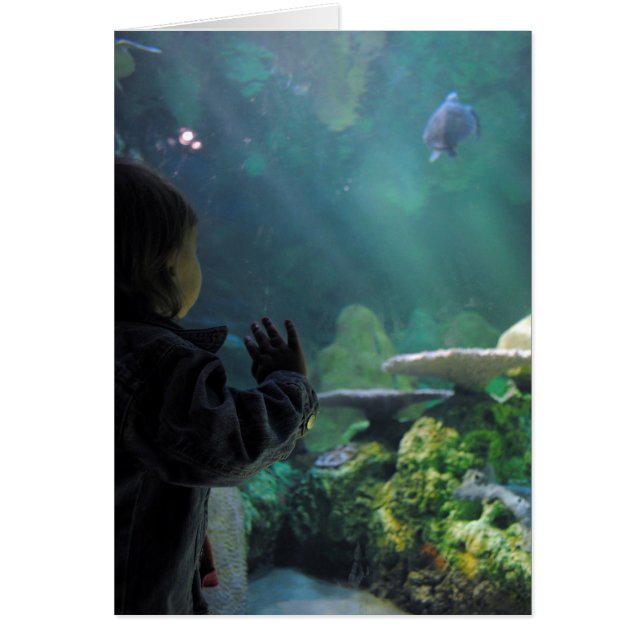 Visor del depósito de tortuga (Frente)