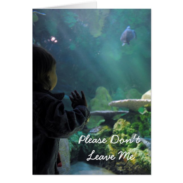 Visor del tanque de tortuga (Frente)