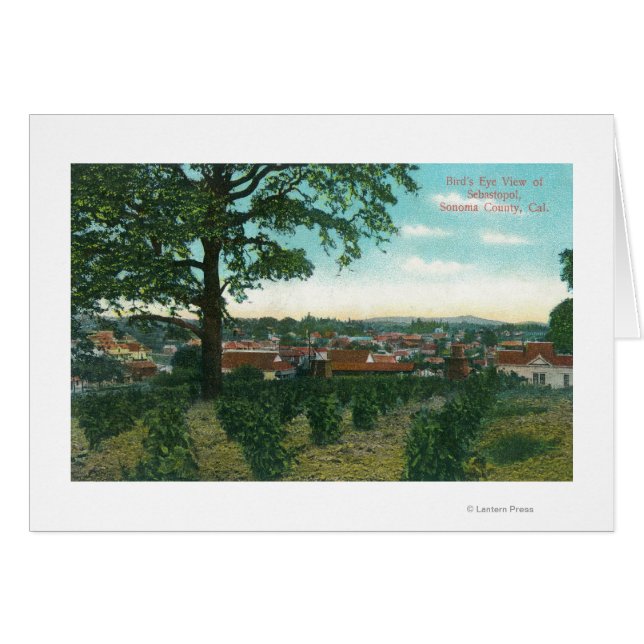 Vista aérea de la ciudad de Sebastopol, CA (Anverso (Horizontal))