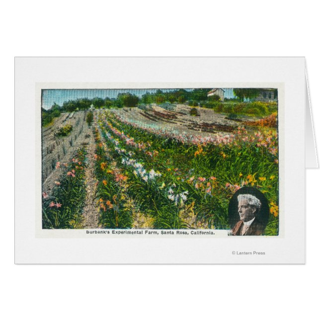 Vista aérea de la granja experimental Burbanks (Anverso (Horizontal))