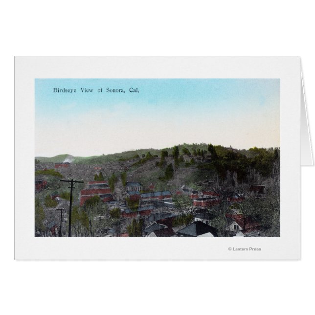 Vista aérea de TownSonora, CA (Anverso (Horizontal))