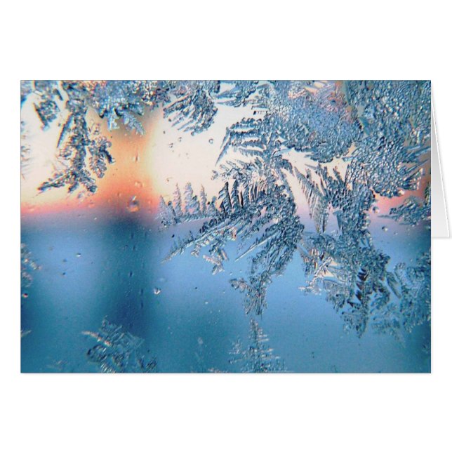 Vista congelada (Anverso (Horizontal))