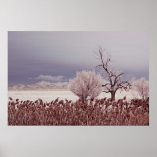 Vista congelada de Antelope Island - Utah - Póster