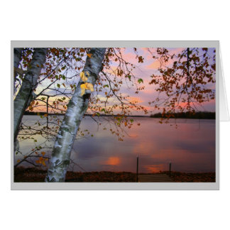 vista de birch