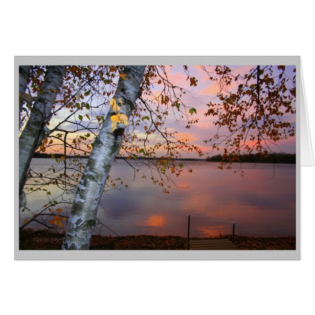 vista de birch (Anverso (Horizontal))