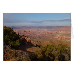 Vista de Canyonlands desde Grand View Point Trail