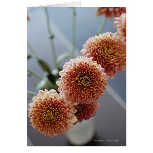 Vista de gran angular de las flores en un jarrón (Frente)