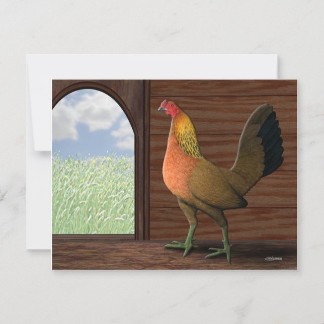 Vista de Henhouse (Anverso)